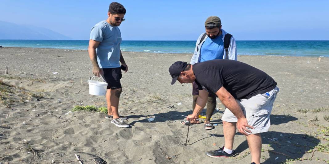 6 Şubat depremlerinde aksamıştı: Hatay'da yeşil kaplumbağalar yeniden koruma altında 4